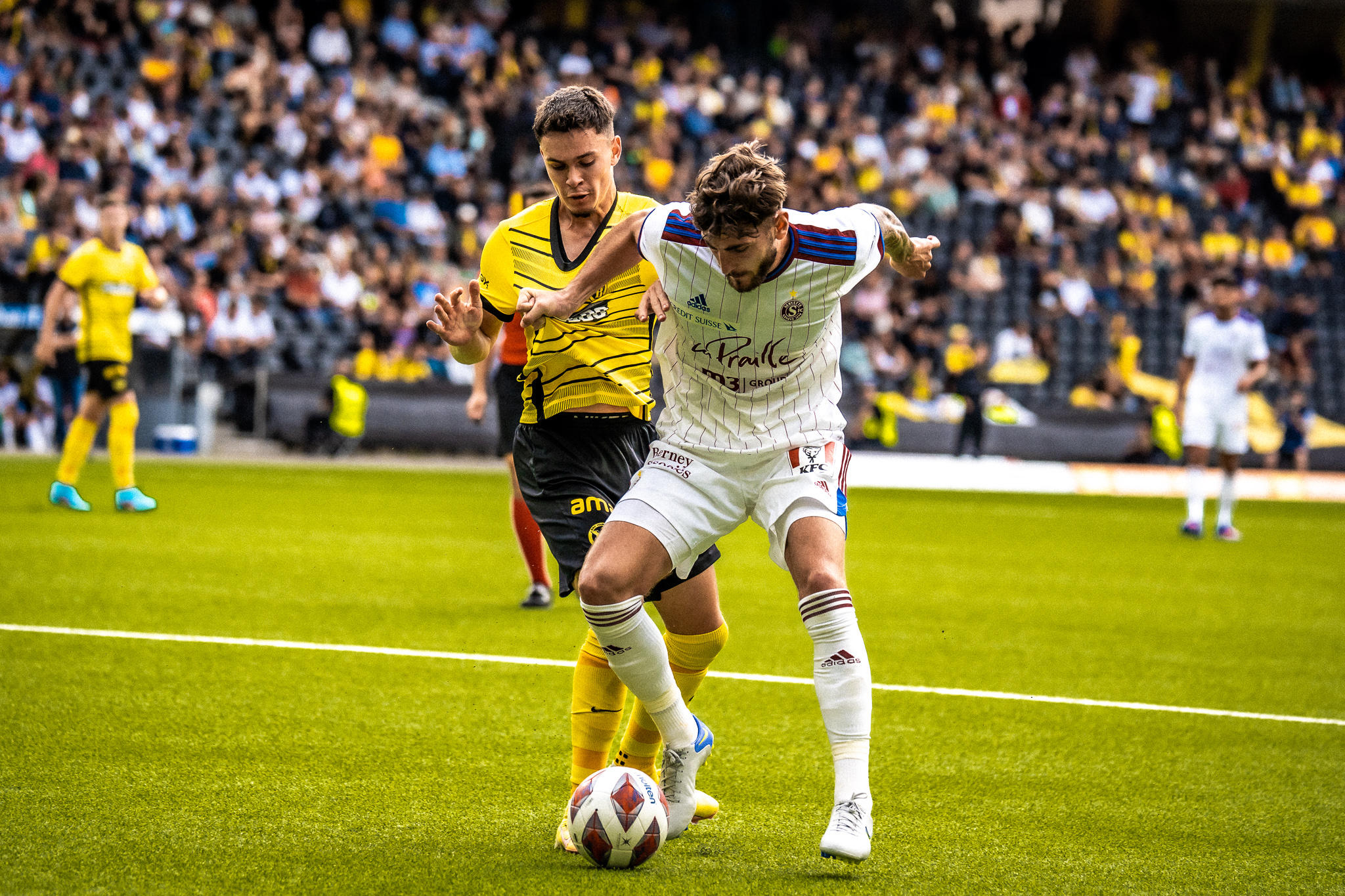 Bsc Fc BSC Young Boys - Servette FC - Servette FC